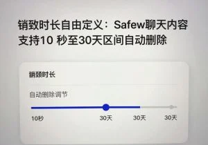 SafeW专业解读｜销毁时长自由定义：SafeW聊天内容支持10秒至30天区间自动删除｜新手向教程